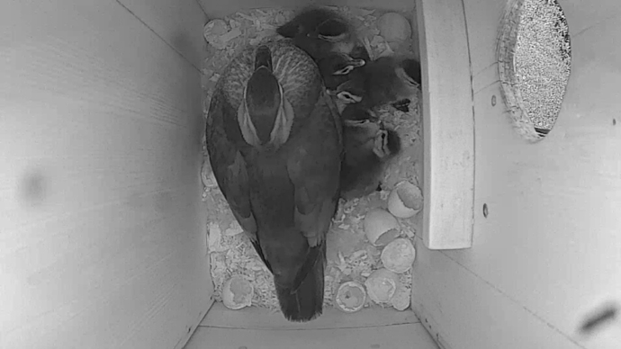 WEB video7 iuiuuiju WEB video7 iuiuuiju