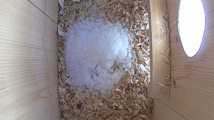 W S FOOT PRINTS Sequence 01.Still044 W S FOOT PRINTS Sequence 01.Still044