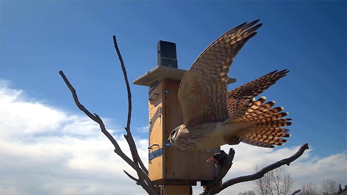 #1 INTRUDER FK Snapshot copy #1 INTRUDER FK Snapshot copy