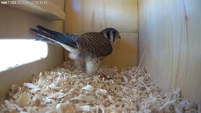 EM Sequence 01.Still003 EM Sequence 01.Still003