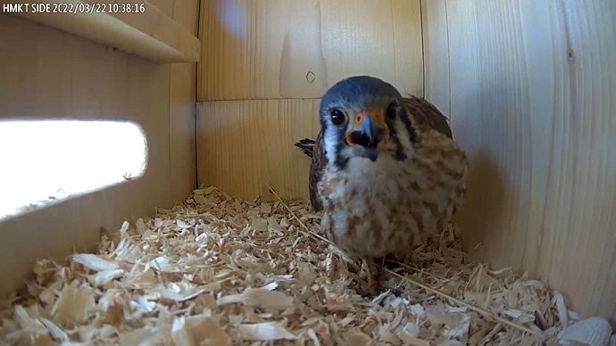 EM Sequence 01.Still002 EM Sequence 01.Still002