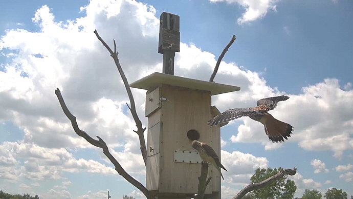 Sequence 01.Still025