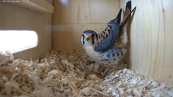 Sequence 01.Still001 Sequence 01.Still001