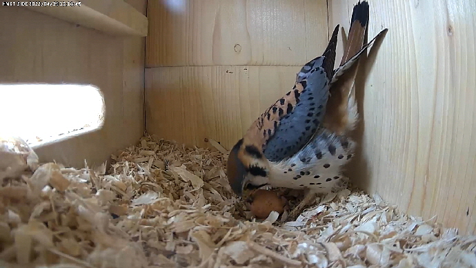 Sequence 01.Still002 Sequence 01.Still002