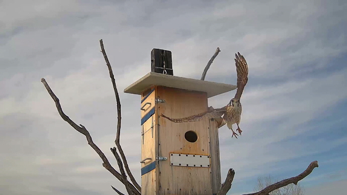 WEB ADJ 1 OUT FK Snapshot JPG