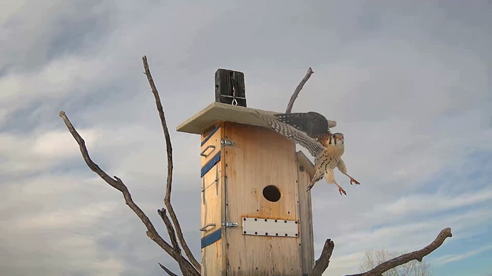 WEB ADJ 1 OUT MK Snapshot JPG