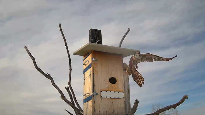 WEB ADJ 2 OUT FK Snapshot JPG