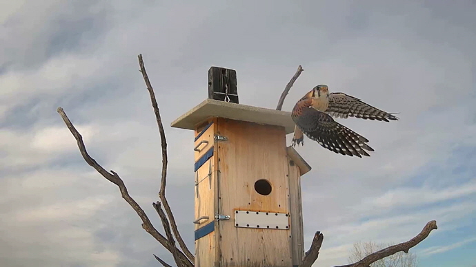 WEB ADJ 2 OUT MK Snapshot JPG