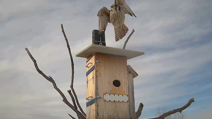 WEB ADJ 3 OUT FK Snapshot JPG