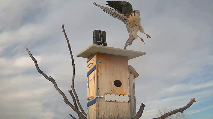 WEB ADJ 3 OUT MK Snapshot JPG