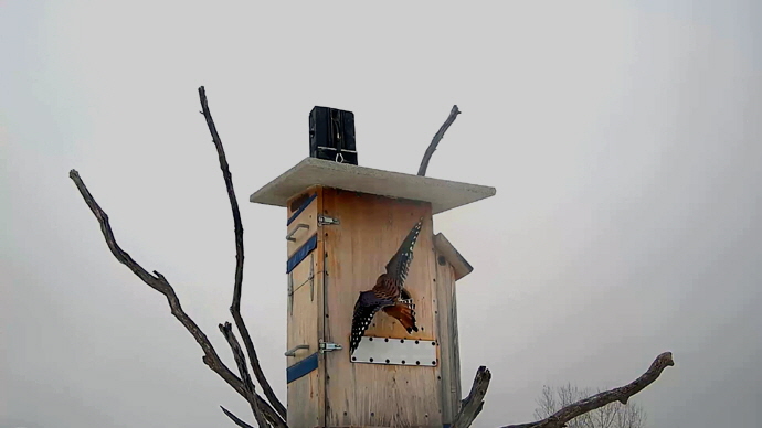 WEB ADJ 5 MK Snapshot JPG