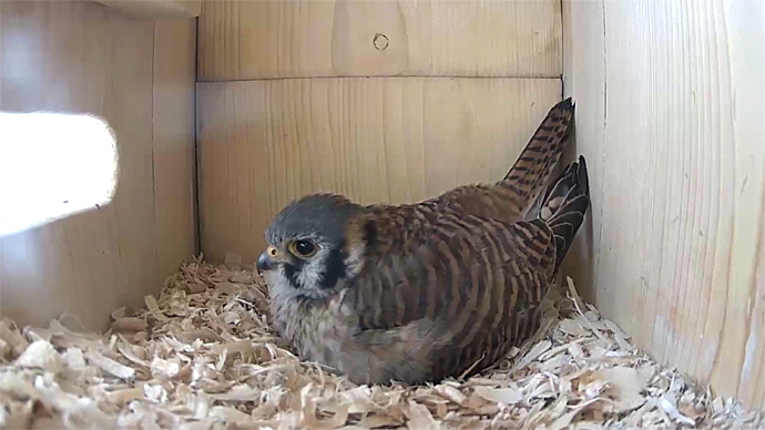 WEB FK Sequence 01.Still001 WEB FK Sequence 01.Still001