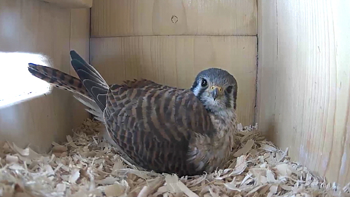 WEB FK Sequence 01.Still004 WEB FK Sequence 01.Still004