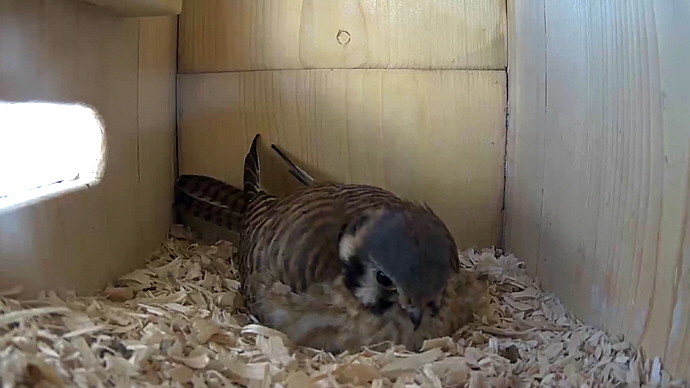 WEB FK Sequence 01.Still020 WEB FK Sequence 01.Still020