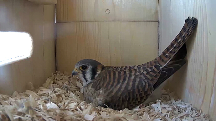 WEB FK Sequence 01.Still023 WEB FK Sequence 01.Still023