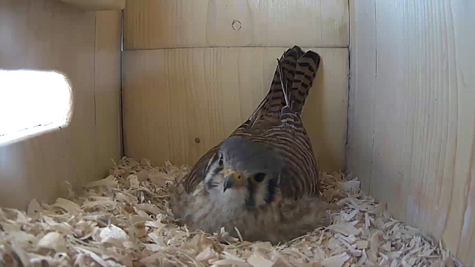 WEB FK Sequence 01.Still031 WEB FK Sequence 01.Still031