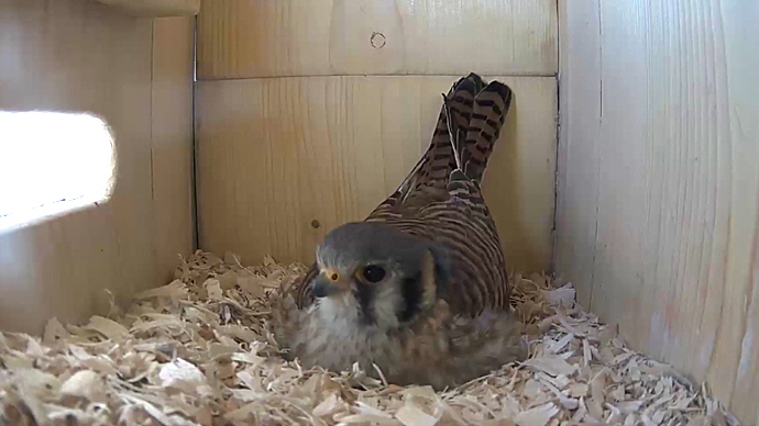 WEB FK Sequence 01.Still033 WEB FK Sequence 01.Still033