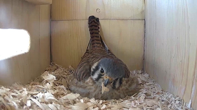 WEB FK Sequence 01.Still035 WEB FK Sequence 01.Still035