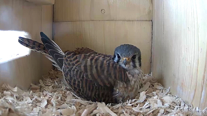 WEB FK Sequence 01.Still005 WEB FK Sequence 01.Still005