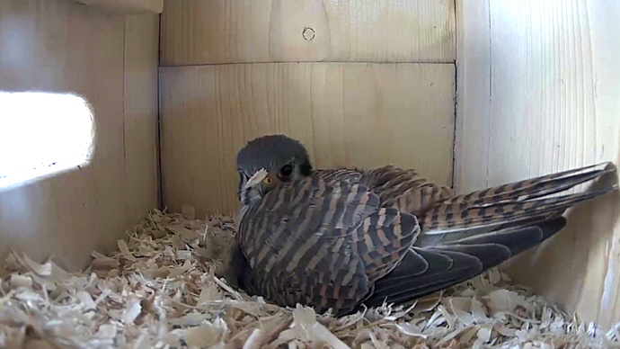 WEB FK Sequence 01.Still006 WEB FK Sequence 01.Still006