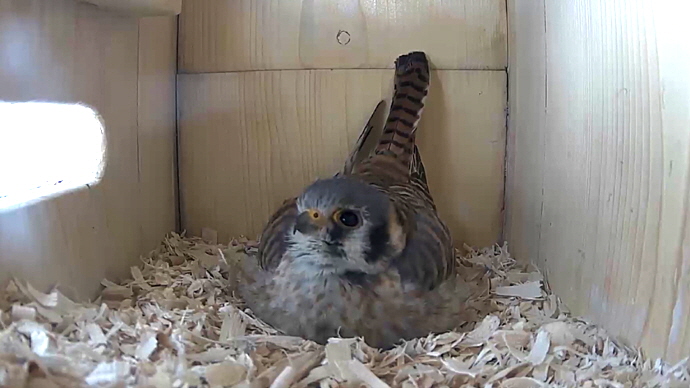 WEB FK Sequence 01.Still007 WEB FK Sequence 01.Still007