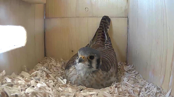 WEB FK Sequence 01.Still013 WEB FK Sequence 01.Still013