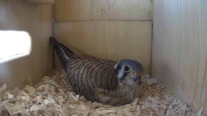 WEB FK Sequence 01.Still014 WEB FK Sequence 01.Still014