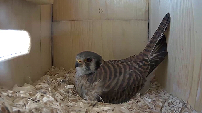 WEB FK Sequence 01.Still015 WEB FK Sequence 01.Still015