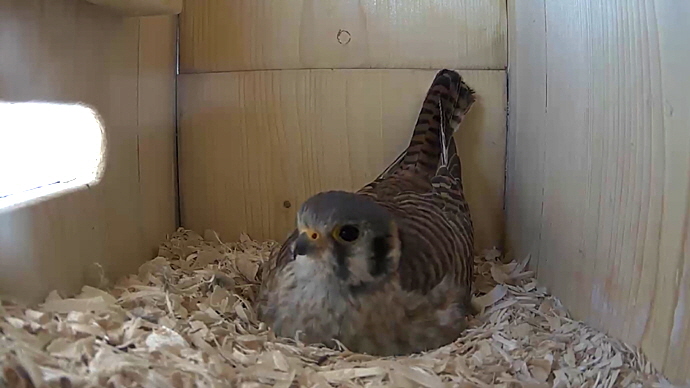 WEB FK Sequence 01.Still017 WEB FK Sequence 01.Still017