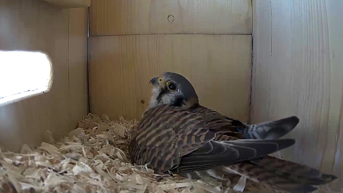 WEB FK Sequence 01.Still019 WEB FK Sequence 01.Still019