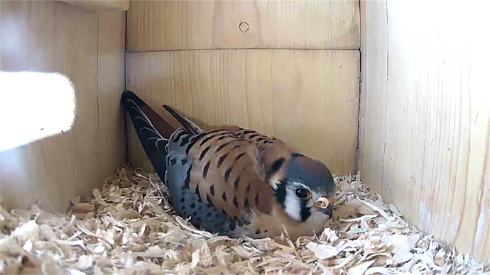 WEB MK Sequence 01.Still002 WEB MK Sequence 01.Still002