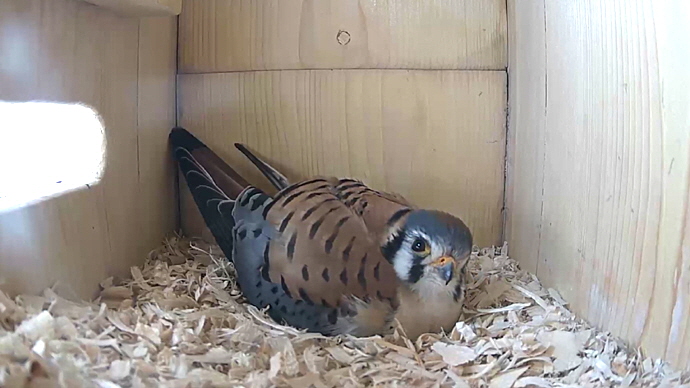 WEB MK Sequence 01.Still003 WEB MK Sequence 01.Still003