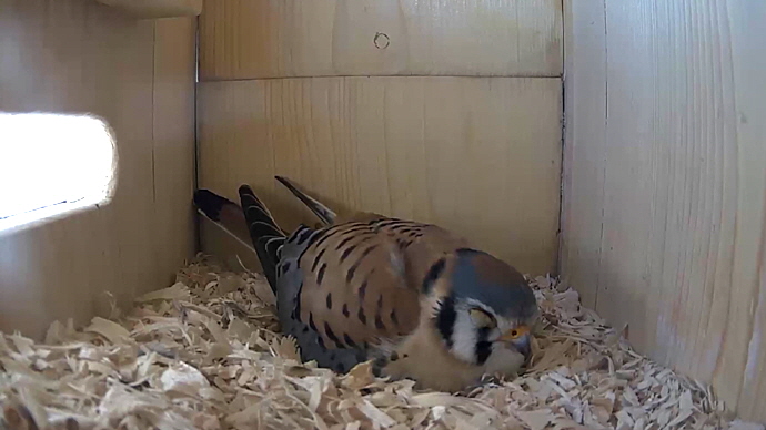 WEB MK Sequence 01.Still027 WEB MK Sequence 01.Still027