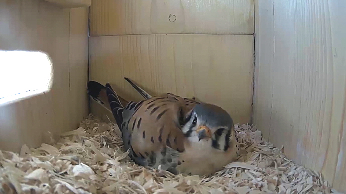 WEB MK Sequence 01.Still028 WEB MK Sequence 01.Still028