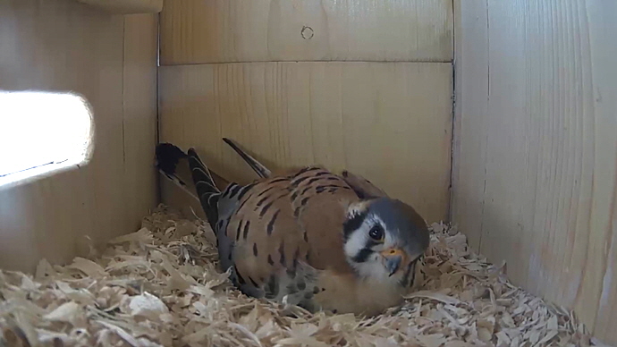 WEB MK Sequence 01.Still029 WEB MK Sequence 01.Still029