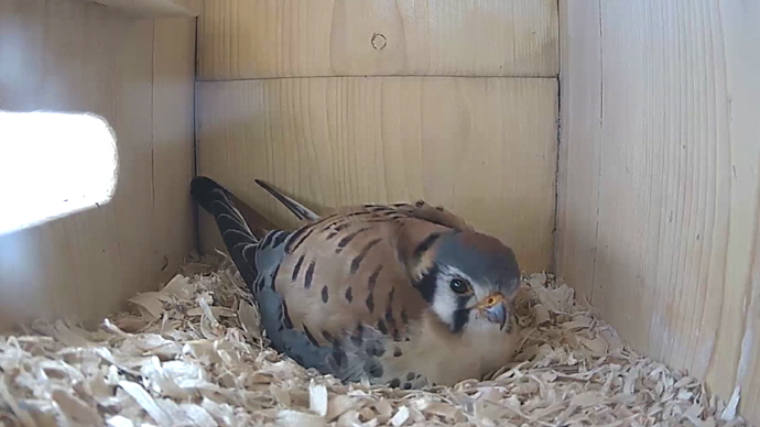 WEB MK Sequence 01.Still032 WEB MK Sequence 01.Still032