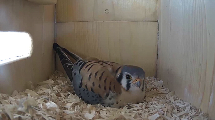 WEB MK Sequence 01.Still036 WEB MK Sequence 01.Still036