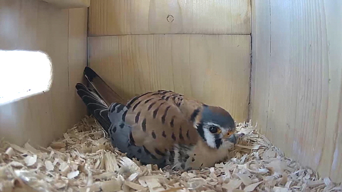 WEB MK Sequence 01.Still008 WEB MK Sequence 01.Still008