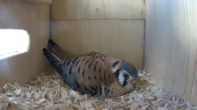 WEB MK Sequence 01.Still009 WEB MK Sequence 01.Still009