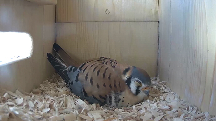 WEB MK Sequence 01.Still010 WEB MK Sequence 01.Still010