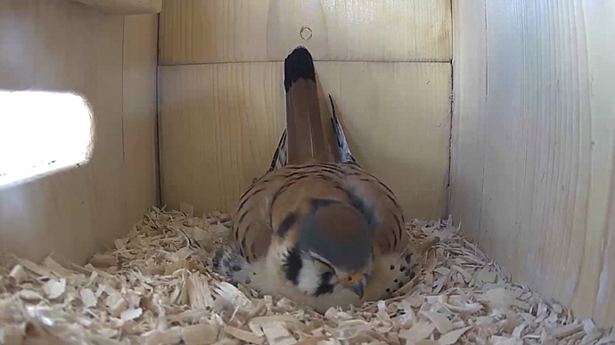 WEB MK Sequence 01.Still011 WEB MK Sequence 01.Still011