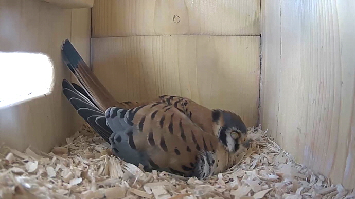 WEB MK Sequence 01.Still012 WEB MK Sequence 01.Still012