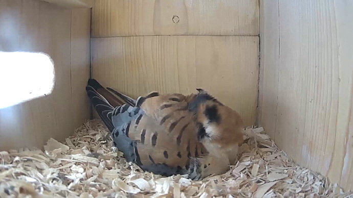 WEB MK Sequence 01.Still016 WEB MK Sequence 01.Still016