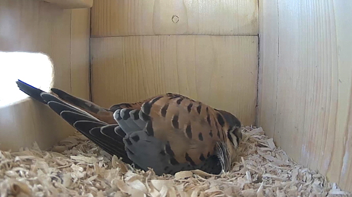 WEB MK Sequence 01.Still018 WEB MK Sequence 01.Still018