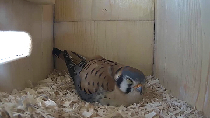 WEB MK Sequence 01.Still021 WEB MK Sequence 01.Still021