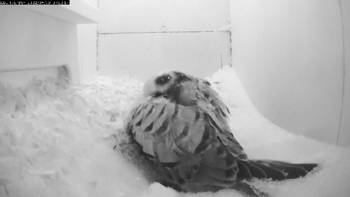 v i de o 1 v i de o 1