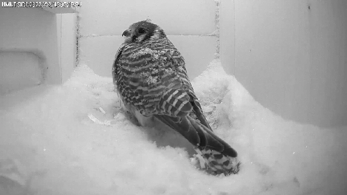 v i d e o 2 v i d e o 2