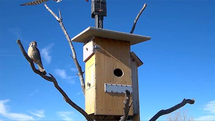 web 2 MK's Sequence 01.Still101 web 2 MK's Sequence 01.Still101