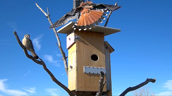 web 2 MK's Sequence 01.Still102 web 2 MK's Sequence 01.Still102