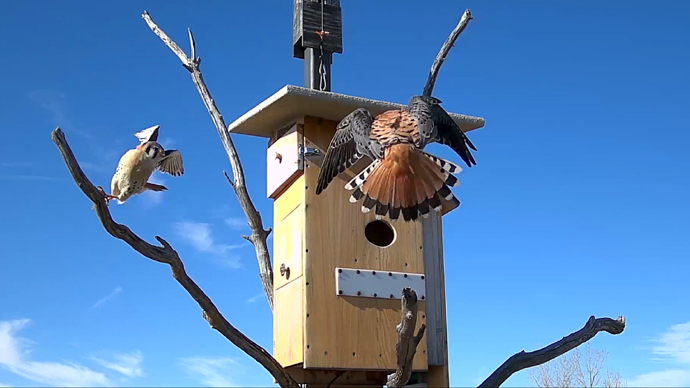 web 2 MK's Sequence 01.Still104 web 2 MK's Sequence 01.Still104